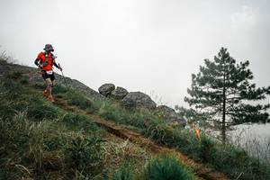 BIB: 
                            <button type="button" onclick="openModal(26002809)" class="btn btn-primary btn-sm float-right btn-popup" data-toggle="modal" data-target=".modal-high-quality">
                        <i class="fas fa-shopping-cart"></i> Add to Cart
                    </button>
                                            <button type="button" onclick="isThisMe(26002809, true)" class="btn btn-success btn-sm float-right btn-popup btn-isme hidden" data-toggle="tooltip" data-placement="bottom" title="นี่คือรูปของคุณใช่ไหม คลิกที่นี่เพื่อเอาเข้าอัลบั้ม">
                        <i class="fas fa-plus"></i> Add to album
                    </button>
                    <button type="button" onclick="isThisMe(26002809, false)" class="btn btn-warning btn-sm float-right btn-popup btn-isnotme hidden">
                        <i class="fas fa-ban"></i> Remove from album
                    </button>